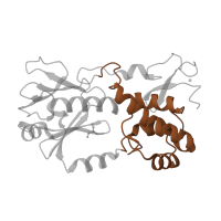 The deposited structure of PDB entry 1xc8 contains 1 copy of SCOP domain 81626 (Middle domain of MutM-like DNA repair proteins) in Formamidopyrimidine-DNA glycosylase. Showing 1 copy in chain C [auth A].