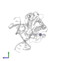 ZINC ION in PDB entry 1xc8, assembly 1, side view.