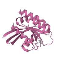 The deposited structure of PDB entry 1xd2 contains 1 copy of SCOP domain 52592 (G proteins) in GTPase HRas, N-terminally processed. Showing 1 copy in chain A.