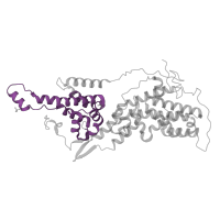 The deposited structure of PDB entry 1xd2 contains 1 copy of Pfam domain PF00618 (RasGEF N-terminal motif) in Son of sevenless homolog 1. Showing 1 copy in chain C.