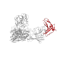 The deposited structure of PDB entry 1xf1 contains 2 copies of CATH domain 2.60.40.10 (Immunoglobulin-like) in C5a peptidase. Showing 1 copy in chain A.