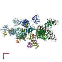 PDB entry 1xfy coloured by chain, top view.