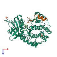 PDB entry 1xh4 coloured by chain, top view.