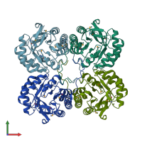 PDB entry 1xm3 coloured by chain, front view.