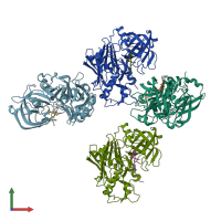 3D model of 1xn2 from PDBe