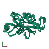 PDB entry 1xsa coloured by chain, ensemble of 33 models, front view.
