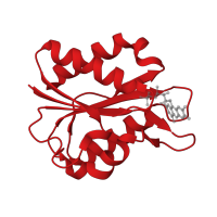 The deposited structure of PDB entry 1xt6 contains 1 copy of CATH domain 3.40.50.360 (Rossmann fold) in Flavodoxin. Showing 1 copy in chain A.