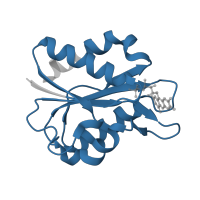 The deposited structure of PDB entry 1xt6 contains 1 copy of Pfam domain PF00258 (Flavodoxin) in Flavodoxin. Showing 1 copy in chain A.