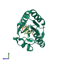 PDB entry 1xt6 coloured by chain, side view.