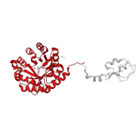 The deposited structure of PDB entry 1xuz contains 1 copy of CATH domain 3.20.20.70 (TIM Barrel) in AFP-like domain-containing protein. Showing 1 copy in chain A.
