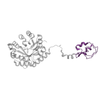 The deposited structure of PDB entry 1xuz contains 1 copy of Pfam domain PF08666 (SAF domain) in AFP-like domain-containing protein. Showing 1 copy in chain A.