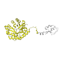 The deposited structure of PDB entry 1xuz contains 1 copy of SCOP domain 110368 (NeuB-like) in AFP-like domain-containing protein. Showing 1 copy in chain A.