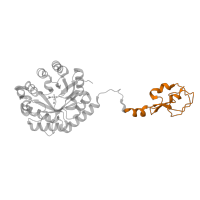 The deposited structure of PDB entry 1xuz contains 1 copy of SCOP domain 51270 (AFP III-like domain) in AFP-like domain-containing protein. Showing 1 copy in chain A.