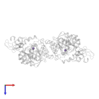 MANGANESE (II) ION in PDB entry 1xuz, assembly 1, top view.