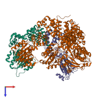 Hetero pentameric assembly 1 of PDB entry 1xxi coloured by chemically distinct molecules, top view.
