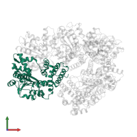DNA polymerase III subunit delta in PDB entry 1xxi, assembly 1, front view.