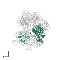 DNA polymerase III subunit delta in PDB entry 1xxi, assembly 1, side view.