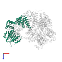 DNA polymerase III subunit delta in PDB entry 1xxi, assembly 1, top view.