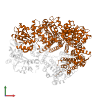 DNA polymerase III subunit tau in PDB entry 1xxi, assembly 1, front view.