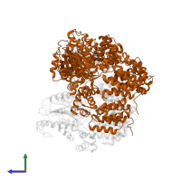 DNA polymerase III subunit tau in PDB entry 1xxi, assembly 1, side view.
