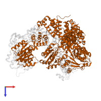 DNA polymerase III subunit tau in PDB entry 1xxi, assembly 1, top view.