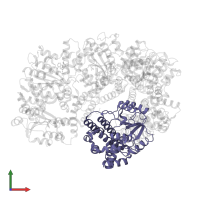 DNA polymerase III subunit delta' in PDB entry 1xxi, assembly 1, front view.
