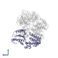 DNA polymerase III subunit delta' in PDB entry 1xxi, assembly 1, side view.