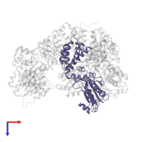DNA polymerase III subunit delta' in PDB entry 1xxi, assembly 1, top view.