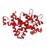 The deposited structure of PDB entry 1xzx contains 1 copy of CATH domain 1.10.565.10 (Retinoid X Receptor) in Thyroid hormone receptor beta. Showing 1 copy in chain A [auth X].