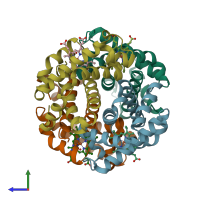 PDB entry 1y09 coloured by chain, side view.