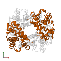 Hemoglobin subunit beta in PDB entry 1y09, assembly 1, front view.