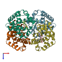 PDB entry 1y0t coloured by chain, top view.