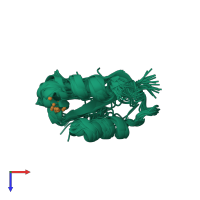 PDB entry 1y3j coloured by chain, ensemble of 20 models, top view.