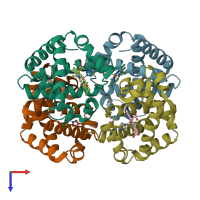 PDB entry 1y4p coloured by chain, top view.