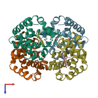 PDB entry 1y4r coloured by chain, top view.