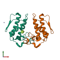 Hetero dimeric assembly 1 of PDB entry 1y75 coloured by chemically distinct molecules, front view.