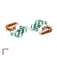 Hetero tetrameric assembly 2 of PDB entry 1y75 coloured by chemically distinct molecules, top view.