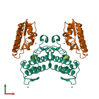 Hetero tetrameric assembly 3 of PDB entry 1y75 coloured by chemically distinct molecules, front view.