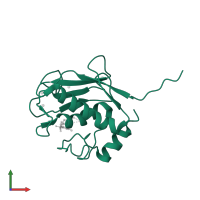 Macrophage metalloelastase in PDB entry 1ycm, assembly 1, front view.