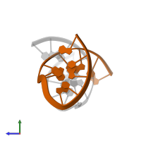 5'-D(*GP*CP*GP*TP*AP*CP*CP*(3DR)P*AP*TP*GP*CP*G)-3' in PDB entry 1ycw, assembly 1, side view.