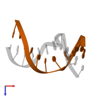 5'-D(*GP*CP*GP*TP*AP*CP*CP*(3DR)P*AP*TP*GP*CP*G)-3' in PDB entry 1ycw, assembly 1, top view.