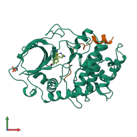 Hetero dimeric assembly 1 of PDB entry 1ydt coloured by chemically distinct molecules, front view.