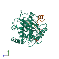 Hetero dimeric assembly 1 of PDB entry 1ydt coloured by chemically distinct molecules, side view.