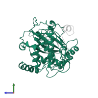 cAMP-dependent protein kinase catalytic subunit alpha in PDB entry 1ydt, assembly 1, side view.