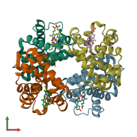 PDB entry 1yeu coloured by chain, front view.