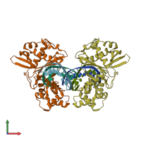 PDB entry 1yfi coloured by chain, front view.