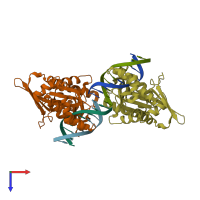 PDB entry 1yfi coloured by chain, top view.