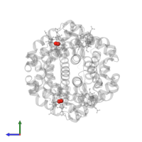 OXYGEN MOLECULE in PDB entry 1ygd, assembly 1, side view.