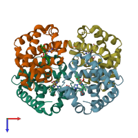 PDB entry 1yhr coloured by chain, top view.