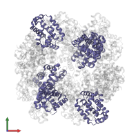 Globin family profile domain-containing protein in PDB entry 1yhu, assembly 1, front view.